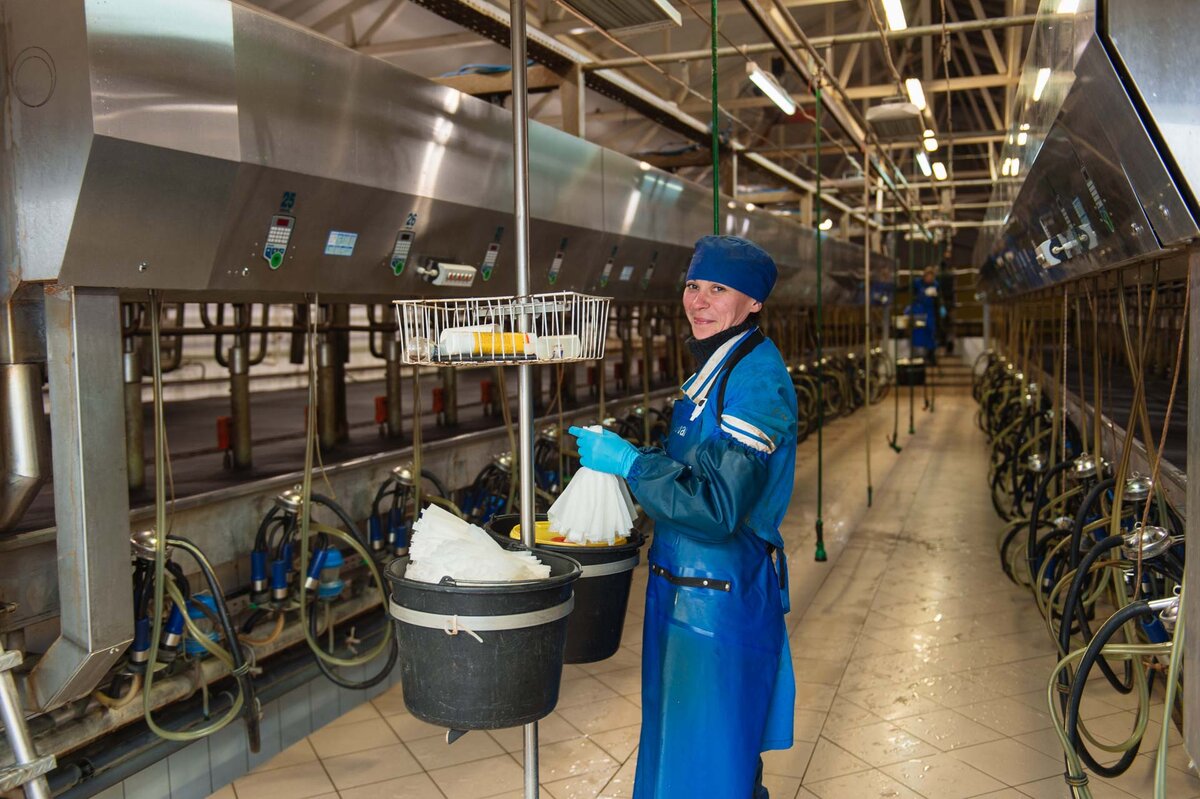 Устьянская молочная компания