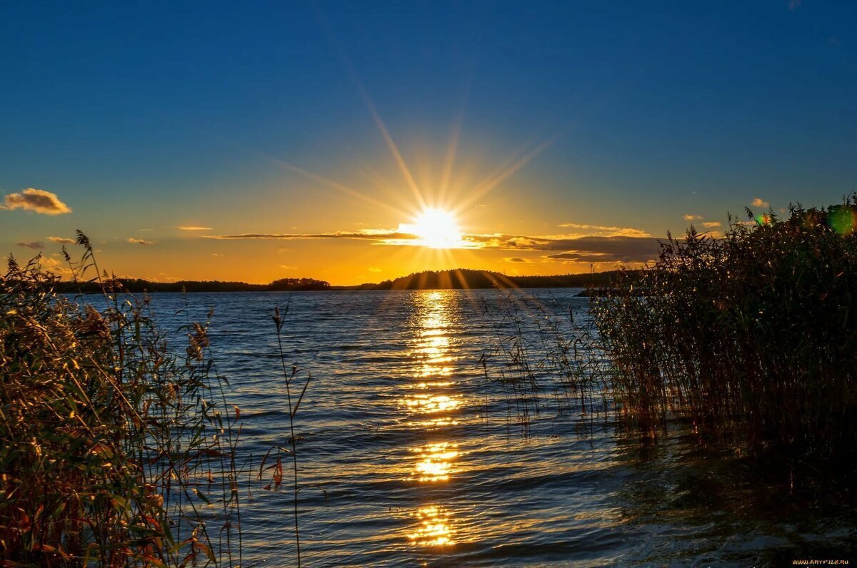 из открытых источников нашей планеты