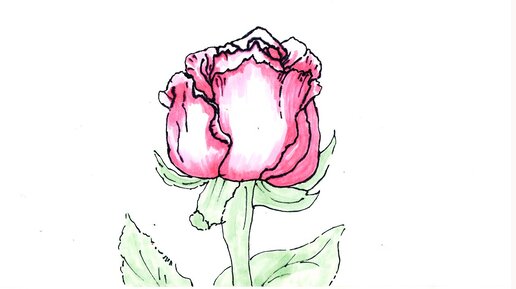 Как нарисовать розу легко. Рисуем розу маркерами. Рисуем скетч легко.Простые рисунки.