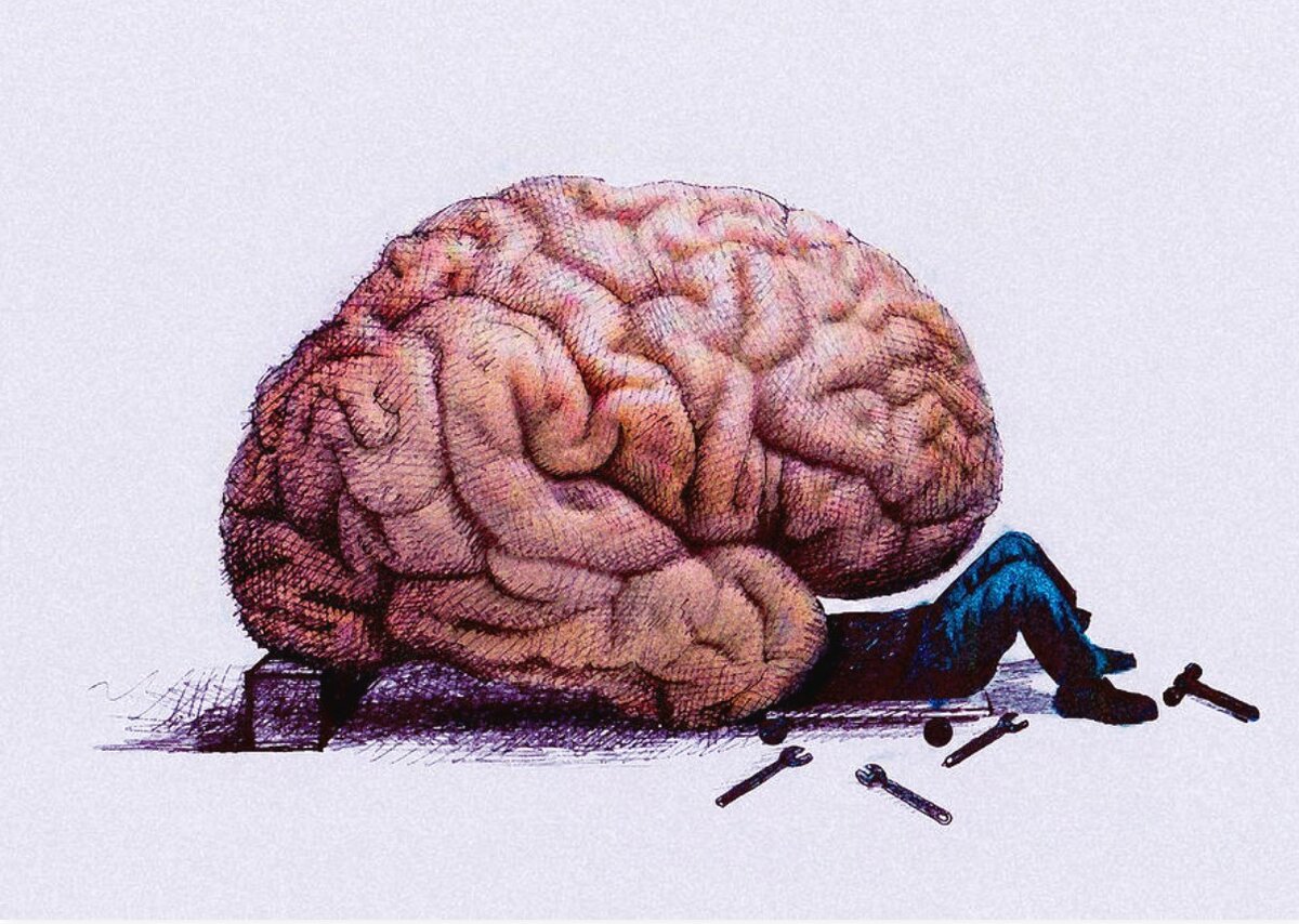 Мозг рисунок арт