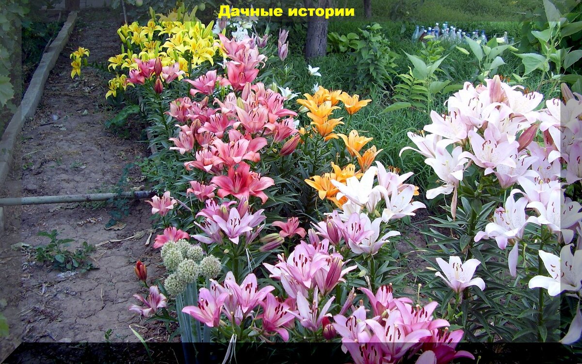 https://vk.com/photo-159774511_457248974