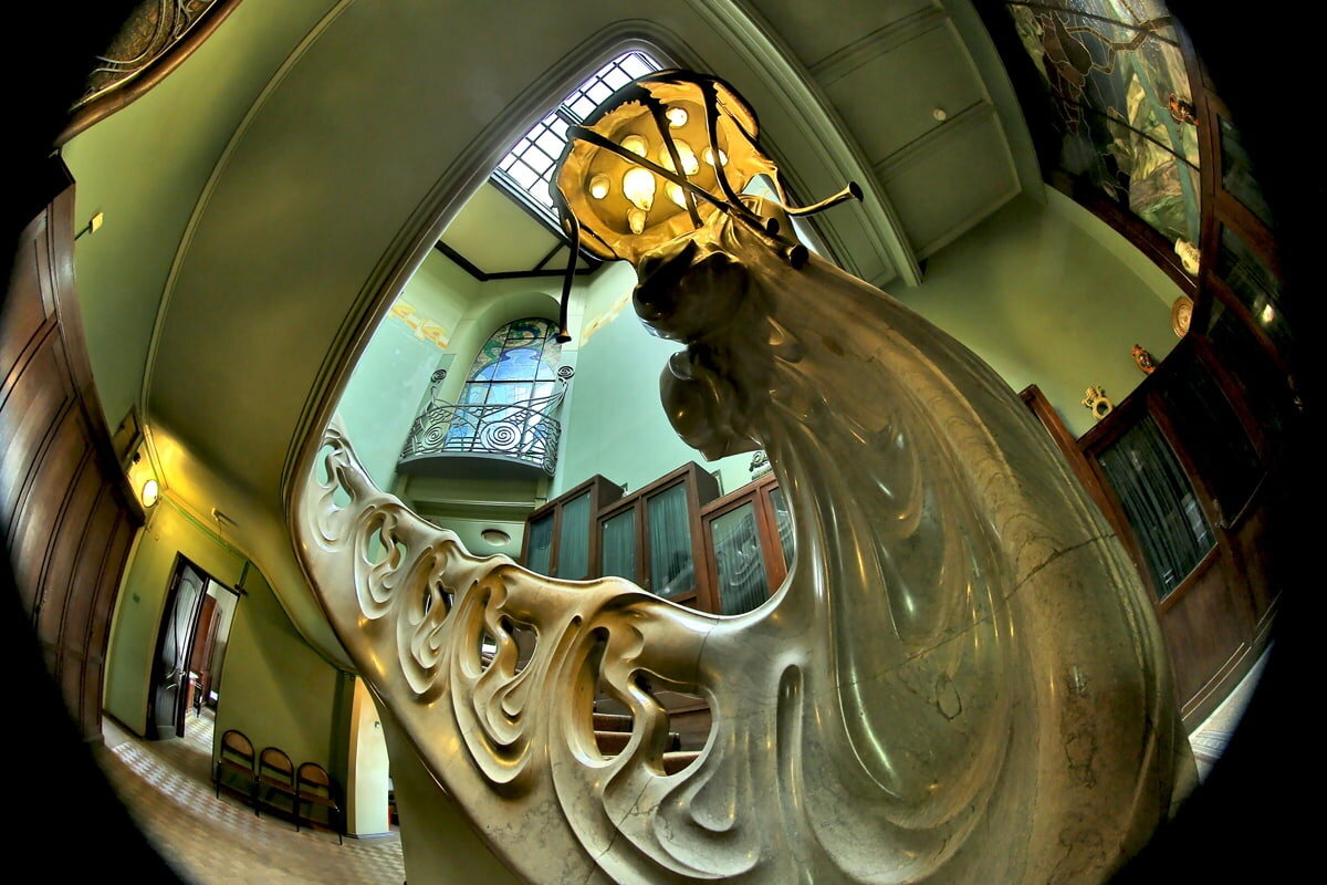 Фото из открытого источника