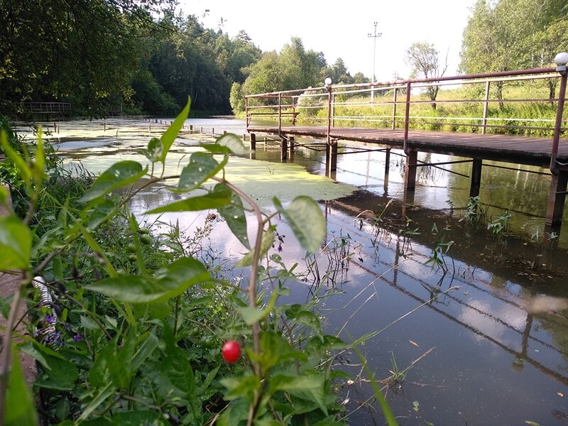 Прекрасная природа в парке-отеле. Лето 2021 года