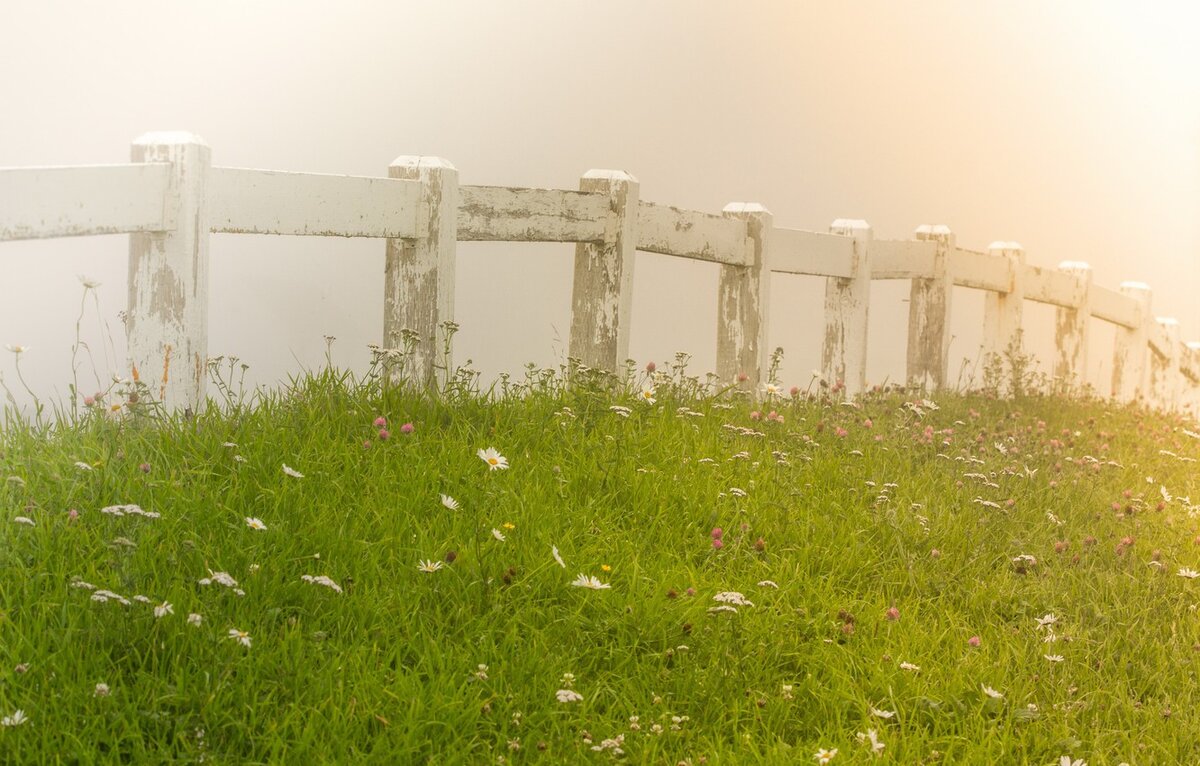 Туман, наверное