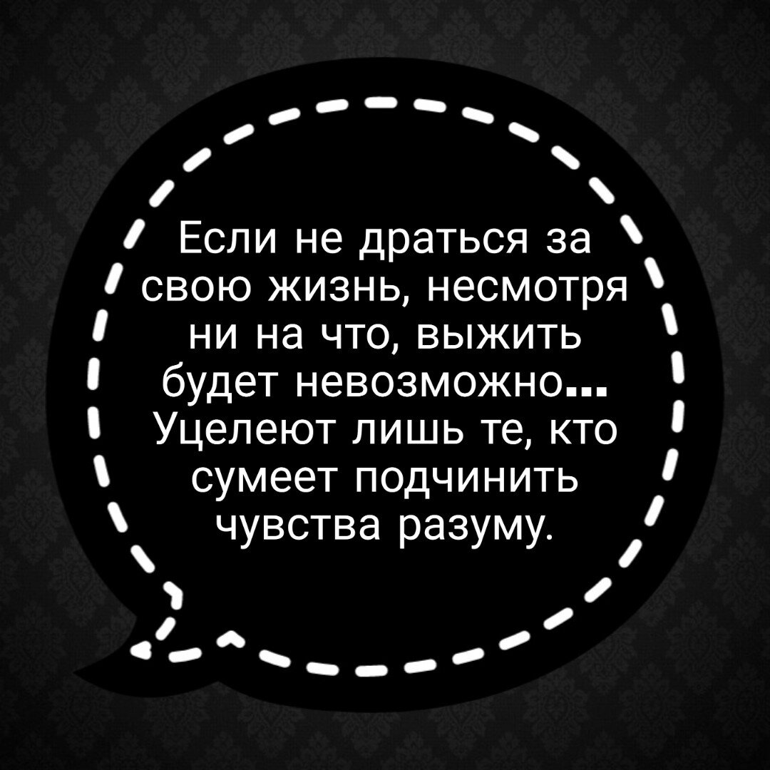 Цитаты из книги