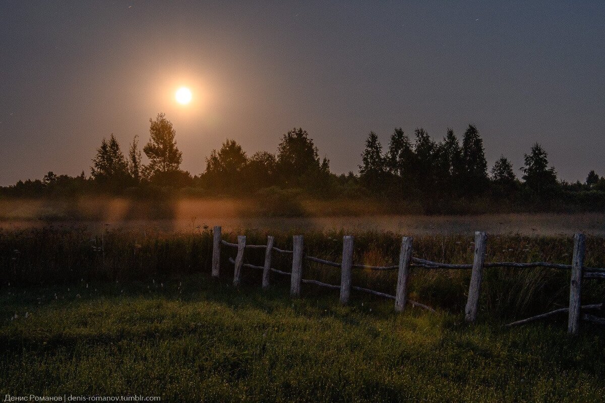 Яндекс.Картинки