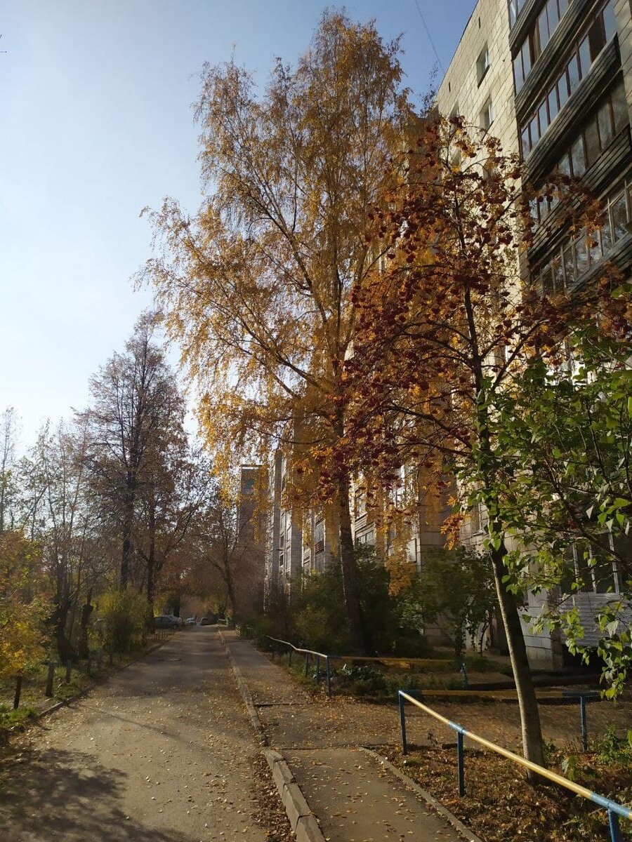 Я перестал ей доверять