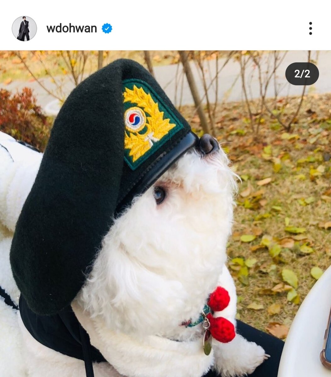 Питомец актёра. 