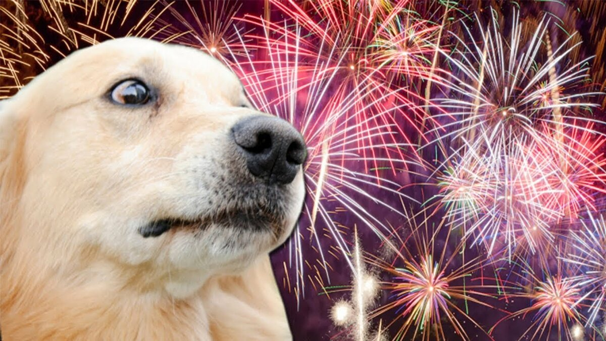 Фото из klkfavorit.ru