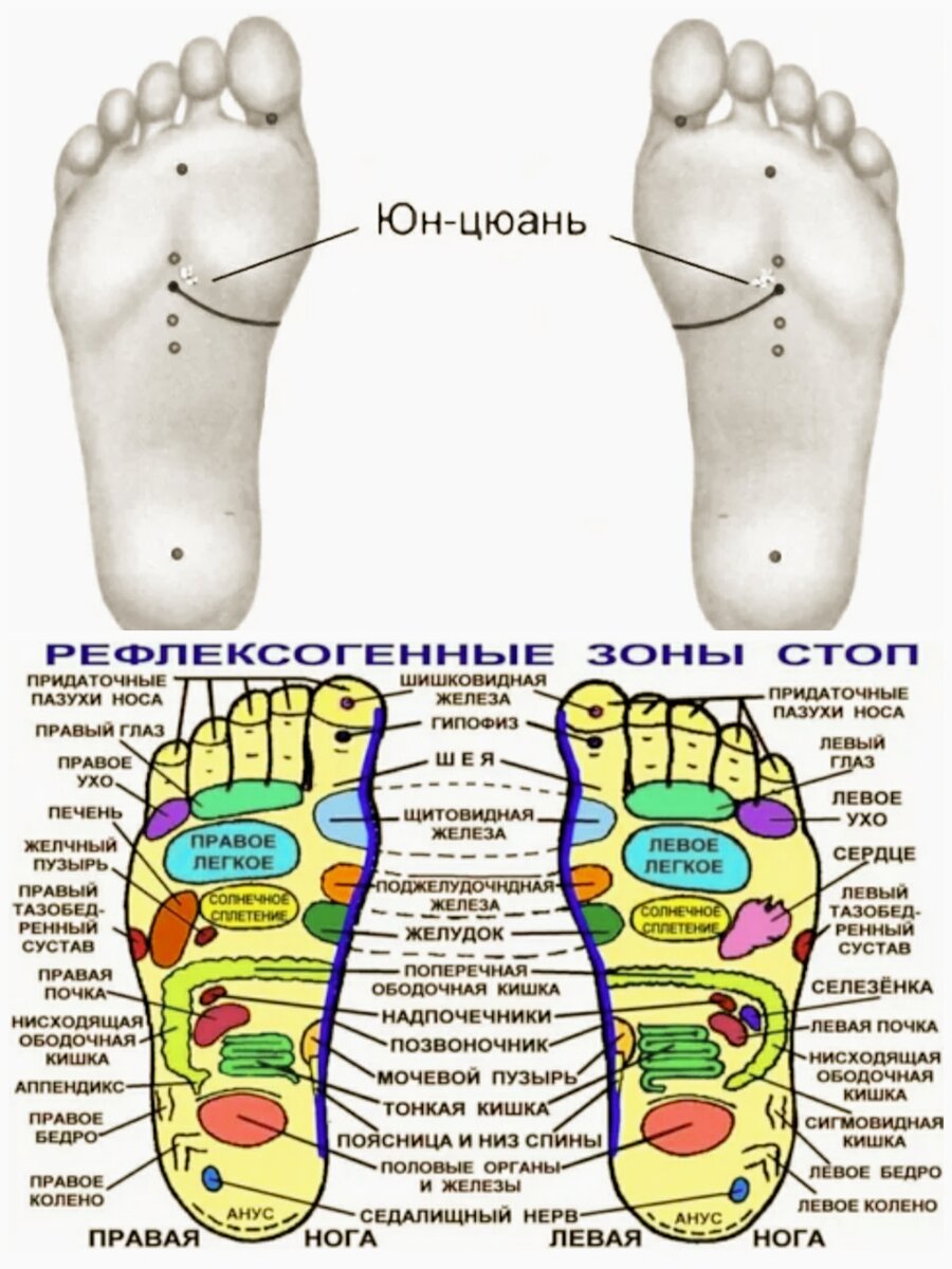 Жопы школьниц порно фото