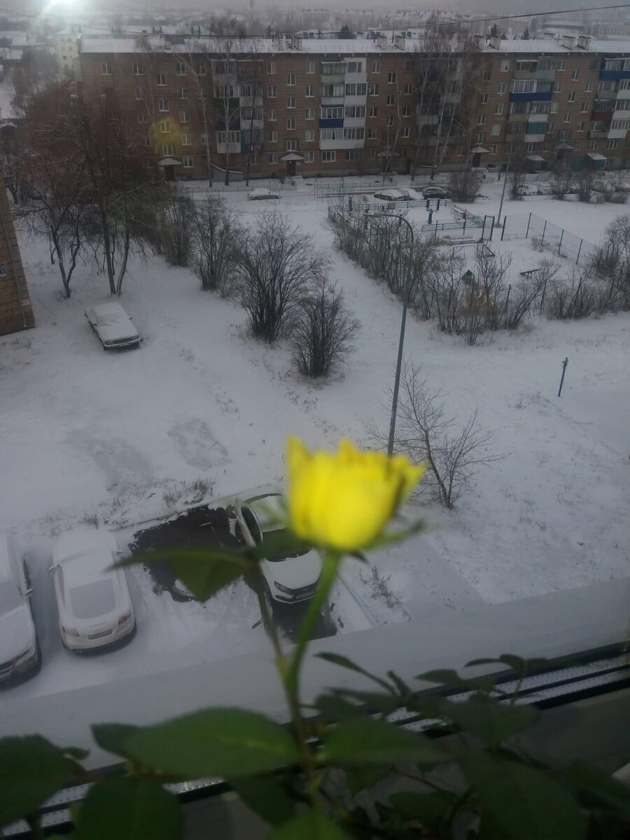 Фото из личного архива