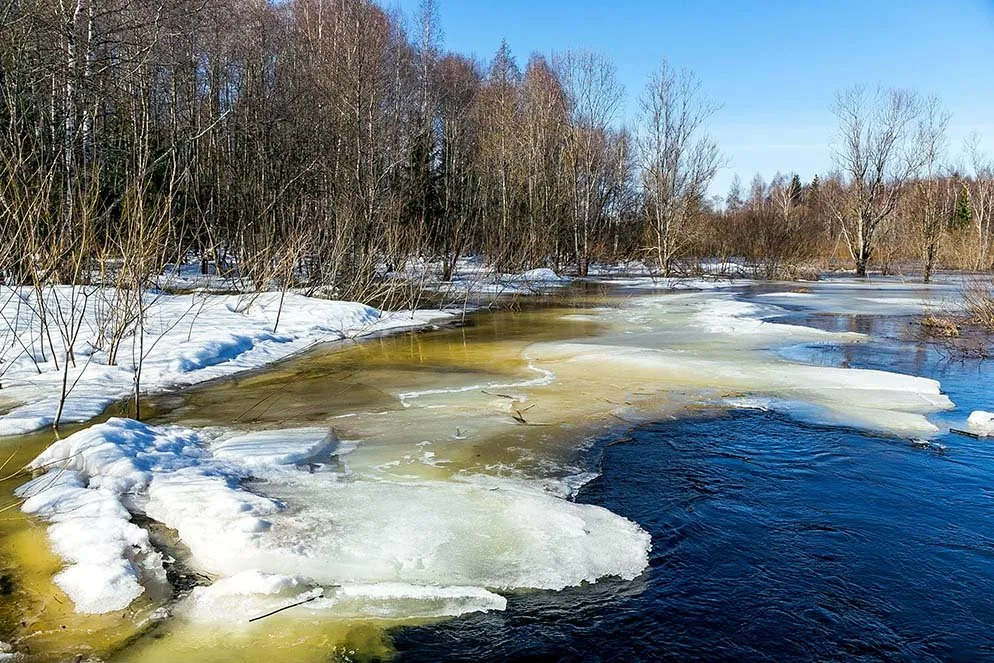 Не люблю весну. Фото из открытых источников Яндекс 