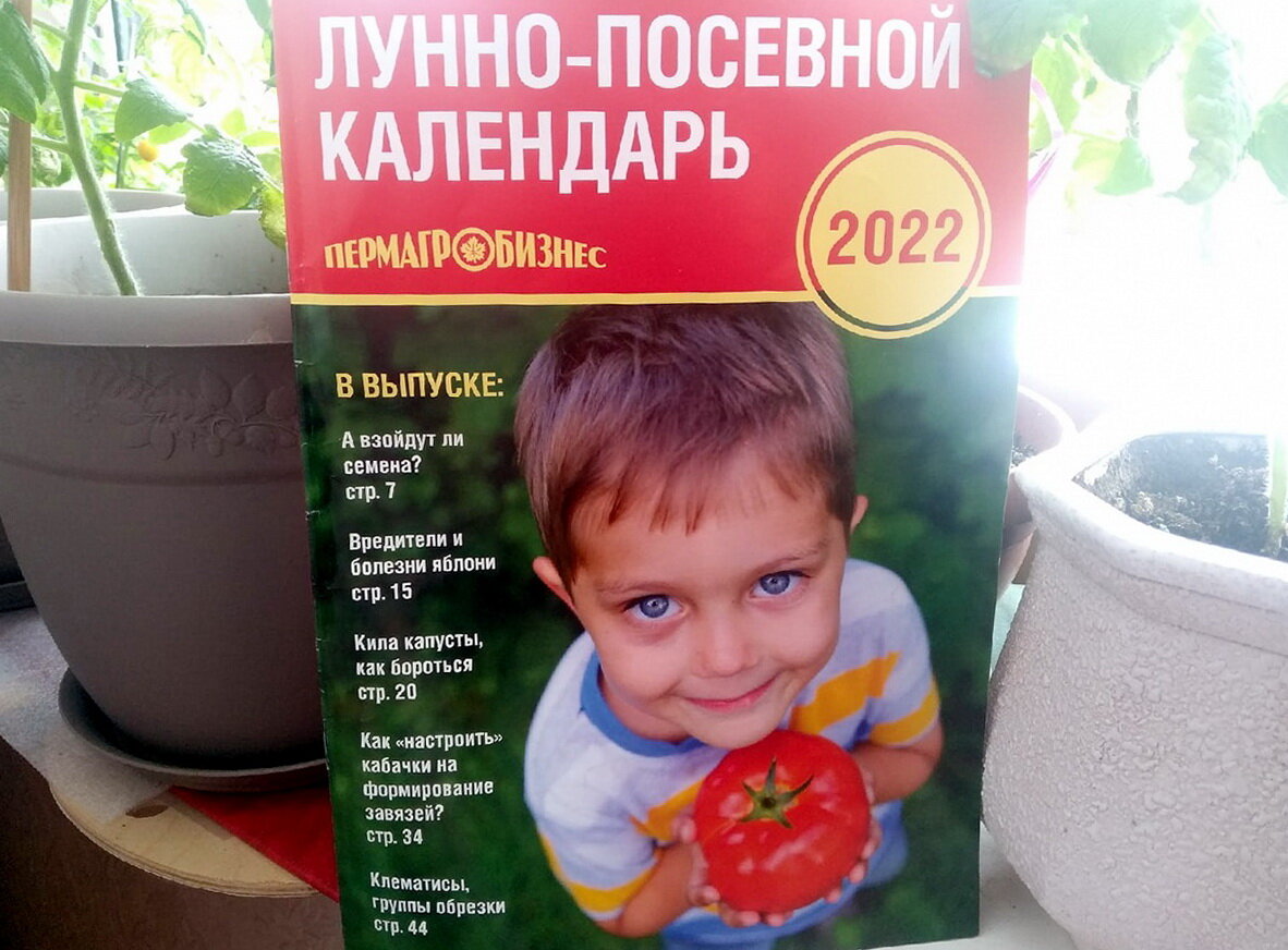 Лунно-посевной календарь на 2022 год