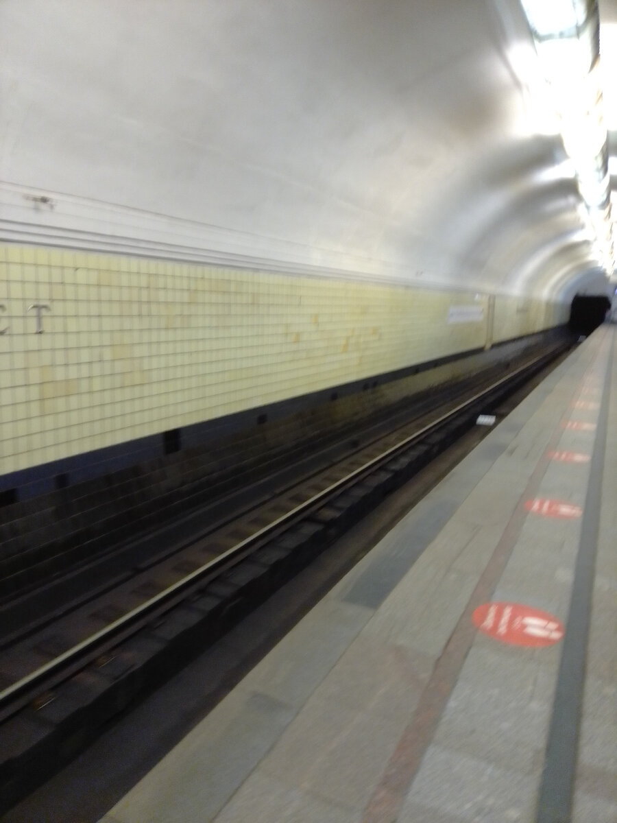 Станция Московского метро «Университет».