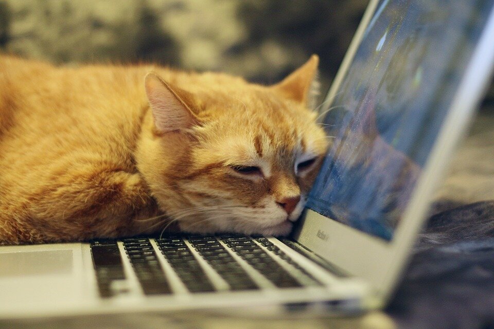 Искал идеальную квартиру. Устал! Надо было сразу идти на сайт ЮСИ. фото: pixabay.com
