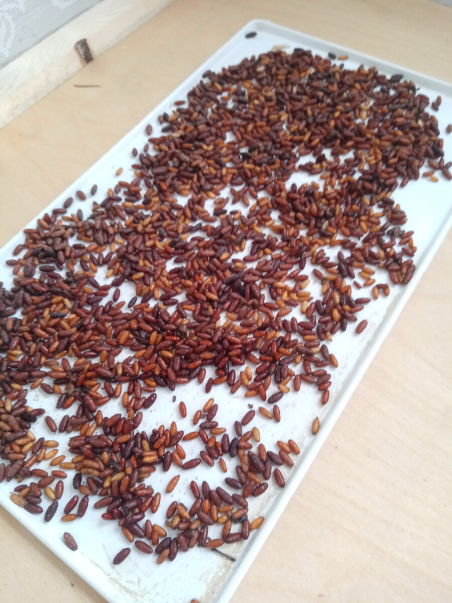 Алгоритм будет не согласен, но на фото "куколки"