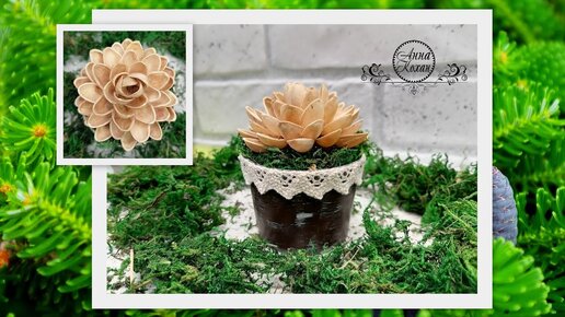 DIY🍀СУККУЛЕНТЫ из ФИСТАШЕК🍀МИНИАТЮРА - суккулент в горшочке для фото своими руками🍀