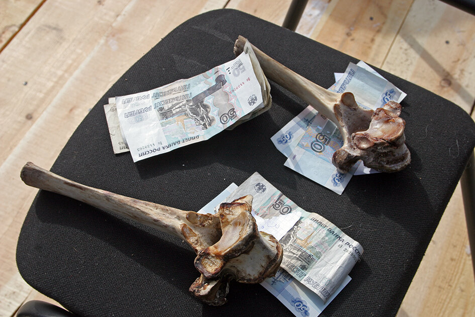 Ломание костей  на деньги. Кладешь купюру. Если не разбил, она  остается  в банке который забирает тот,  кто в  итоге сломает кость. Фото Бориса  Слепнева