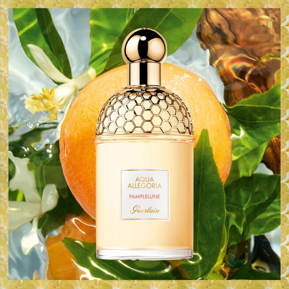 Aqua allegoria mandarine basilic туалетная вода. Герлен Аква аллегория Пампелуне. Allegoria basilic Aqua Allegoria базилик и мандарин. Givenchy Aqua Allegoria. Аква мандарин базилик.