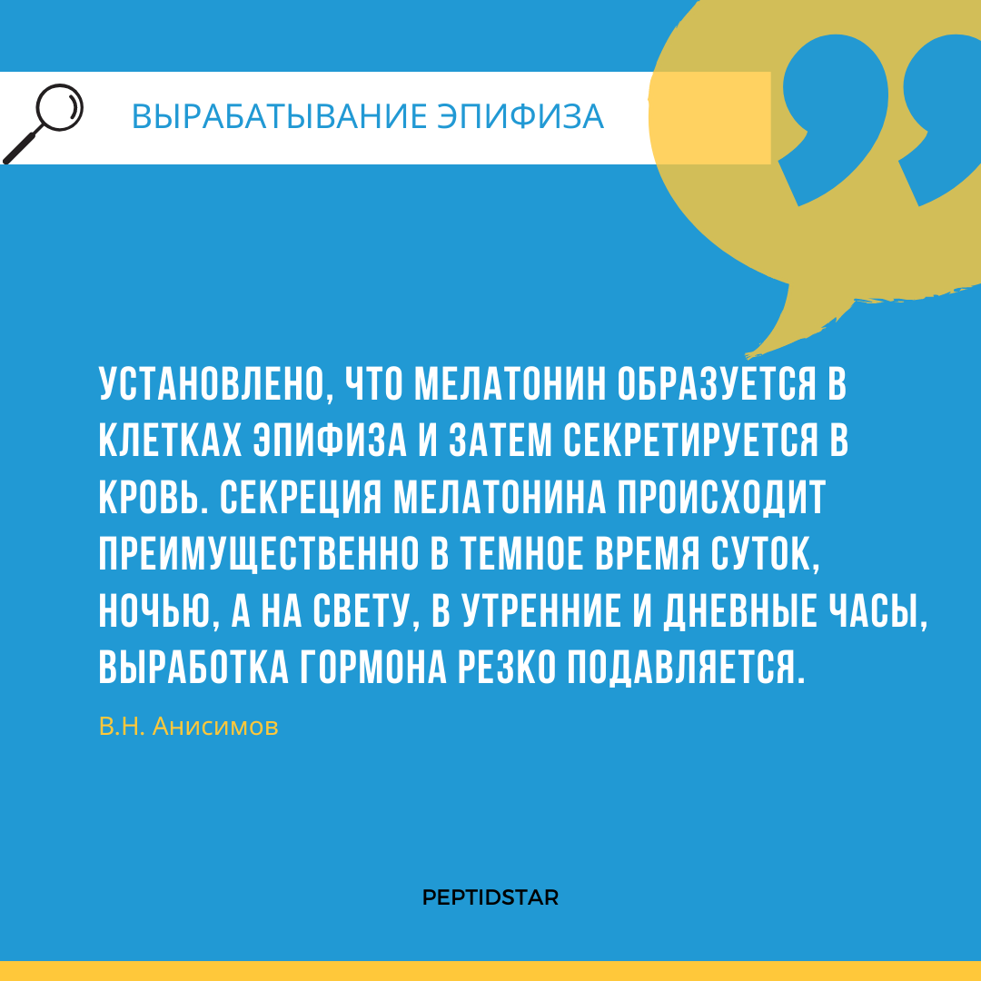 Эпифиз