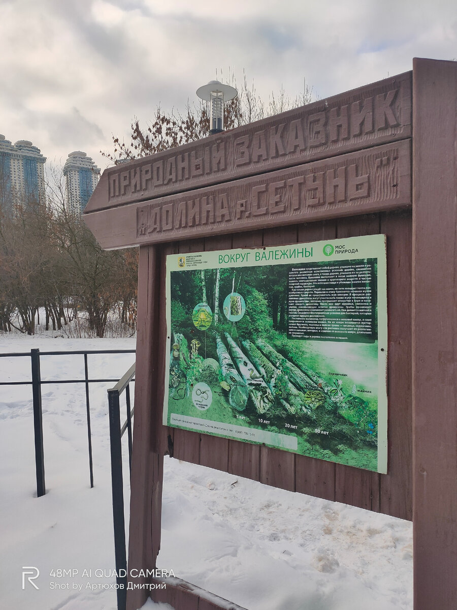 Один из входов в природный заказник "Долина реки Сетунь", Мосфильмовский пруд. Фото автора - Артюхов Д.