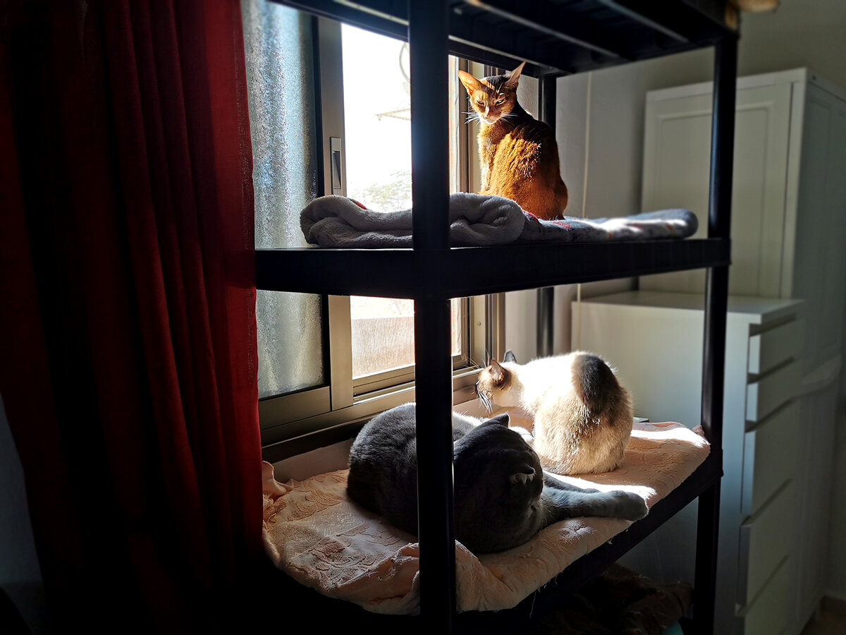 Фото автора