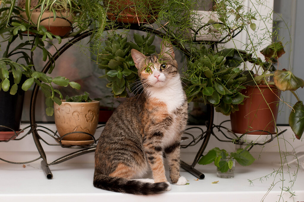 Фотосессия. Такой мы ее взяли.