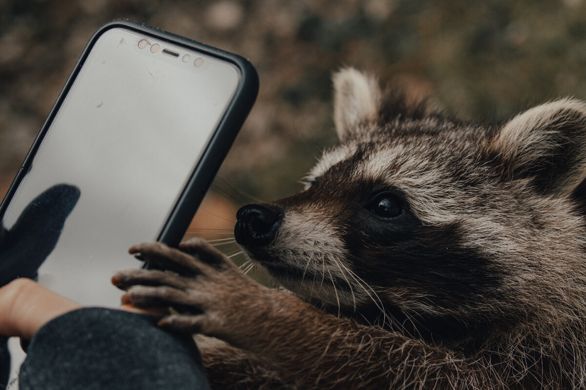 Фото автора David Selbert: Pexels