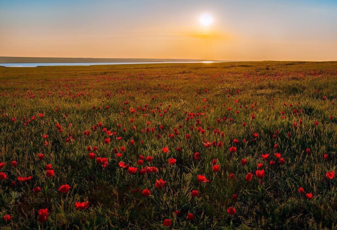 Калмыкия фото природы Степи Настя Асессорова Дзен