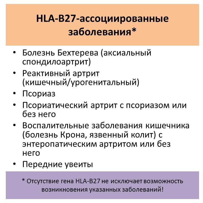 HLA b27 ассоциированные заболевания. Болезнь Бехтерева ген HLA b27. HLA b27 патогенез.