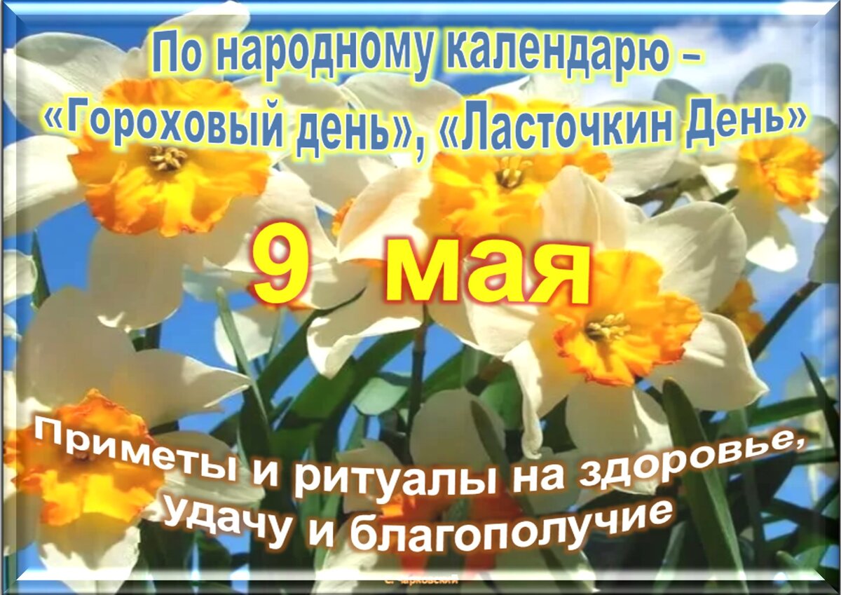 9 мая - Традиции, приметы, обычаи и ритуалы дня. Все праздники дня во всех  календаре. | Сергей Чарковский Все праздники | Дзен