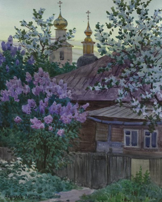 Куст сирени. 2010 год.