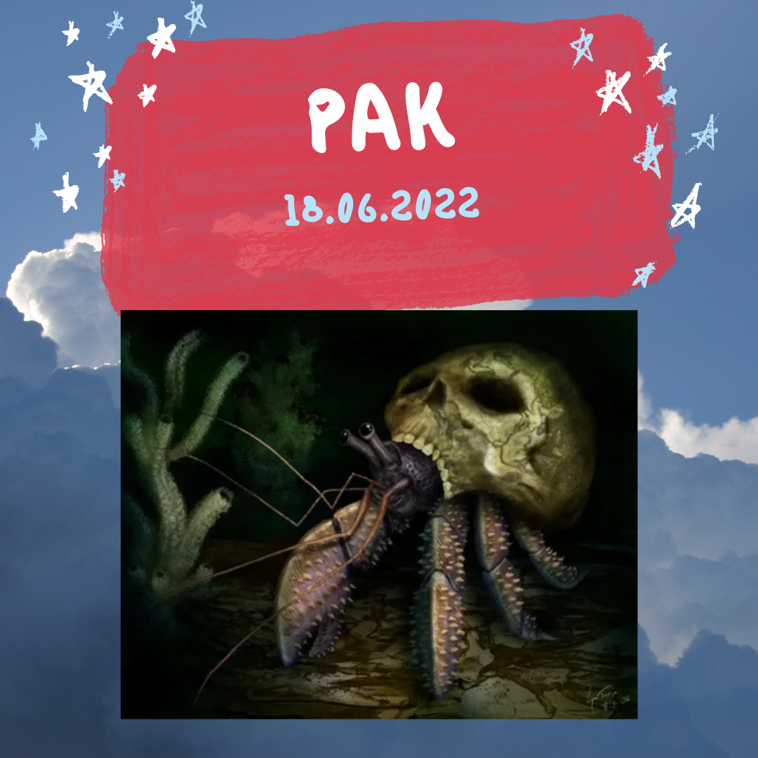 Рак - 18.05.2022