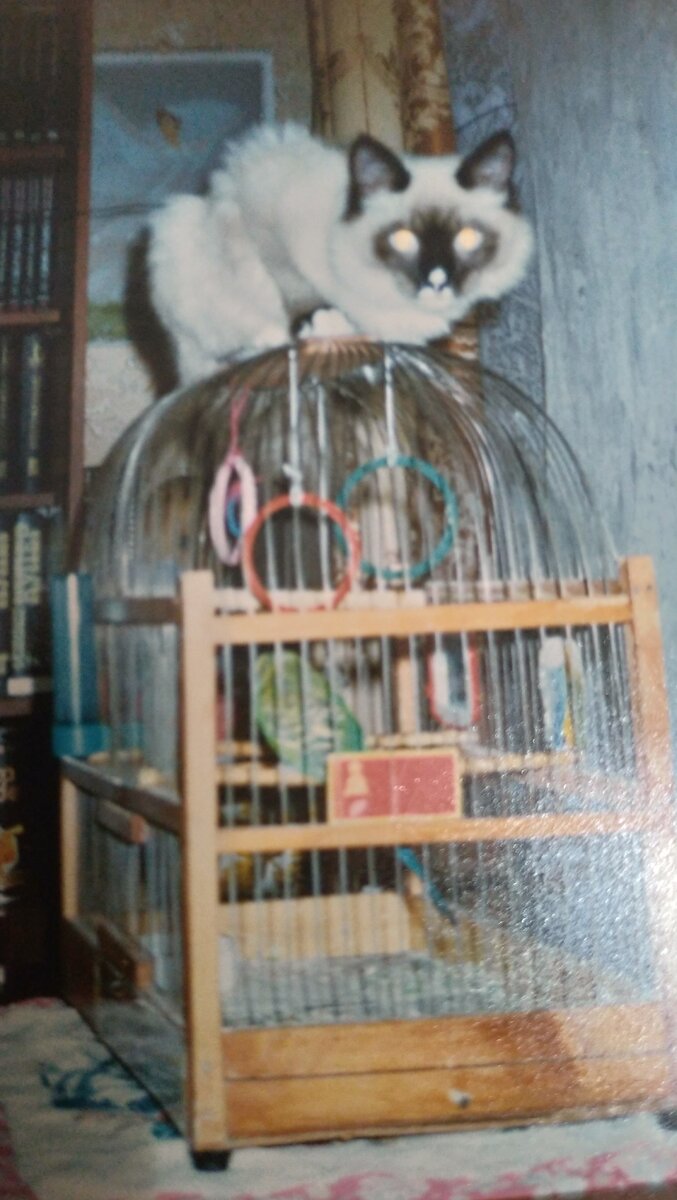 Ну, если честно, я бы тоже вопила что кто-то урод...