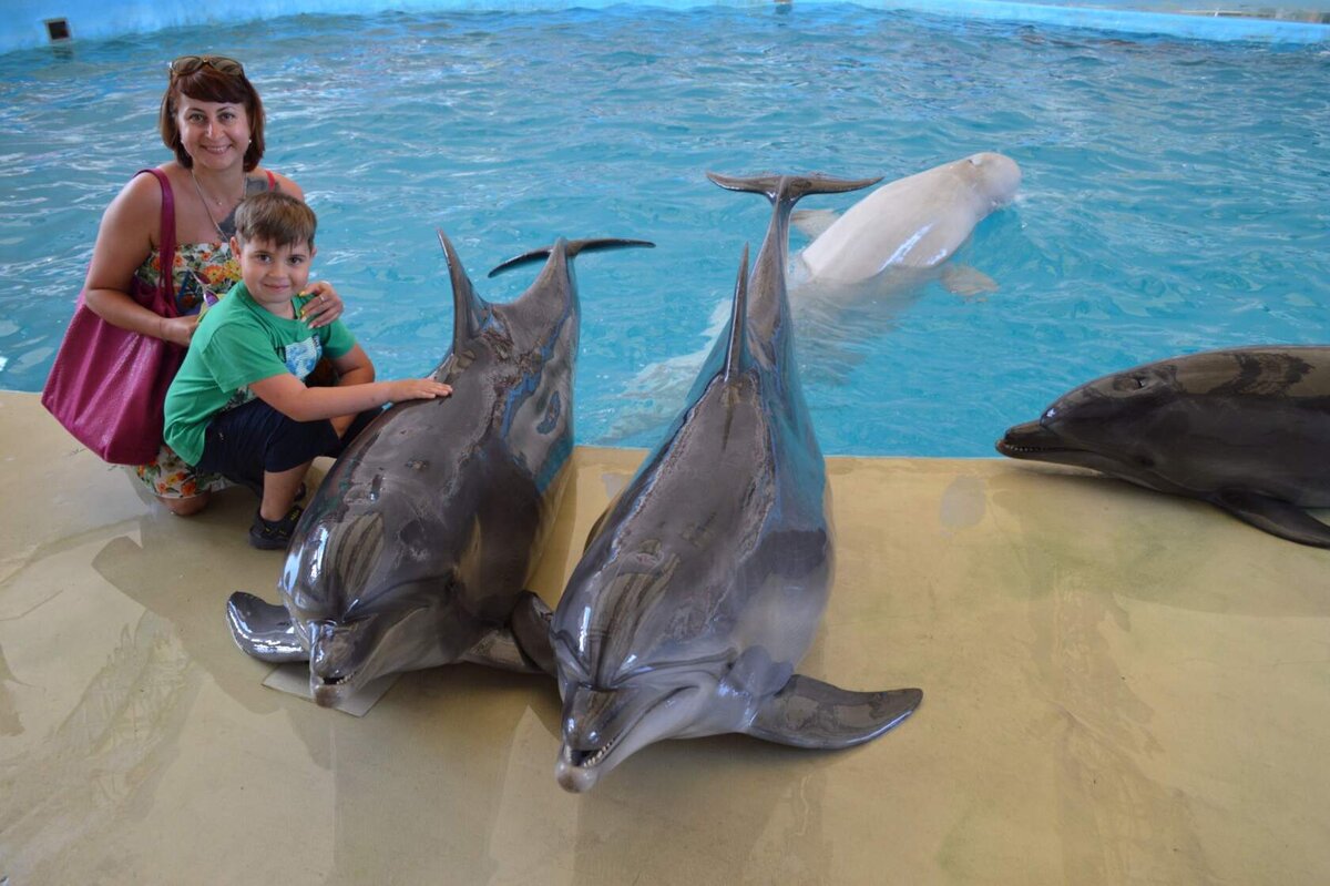 Дельфинарий Немо