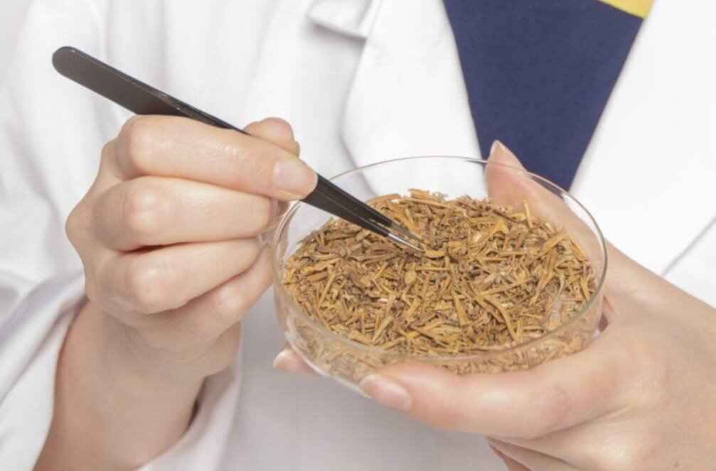    Кости жаб и лягушек / ©MOLA Headland Infrastructure