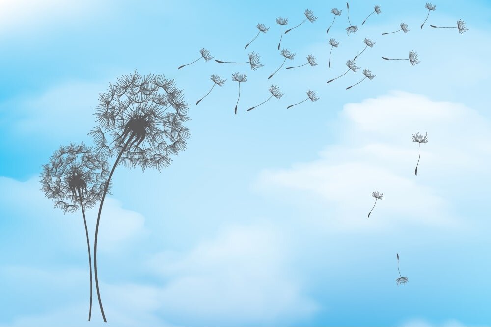 Свобода не равно Воля 