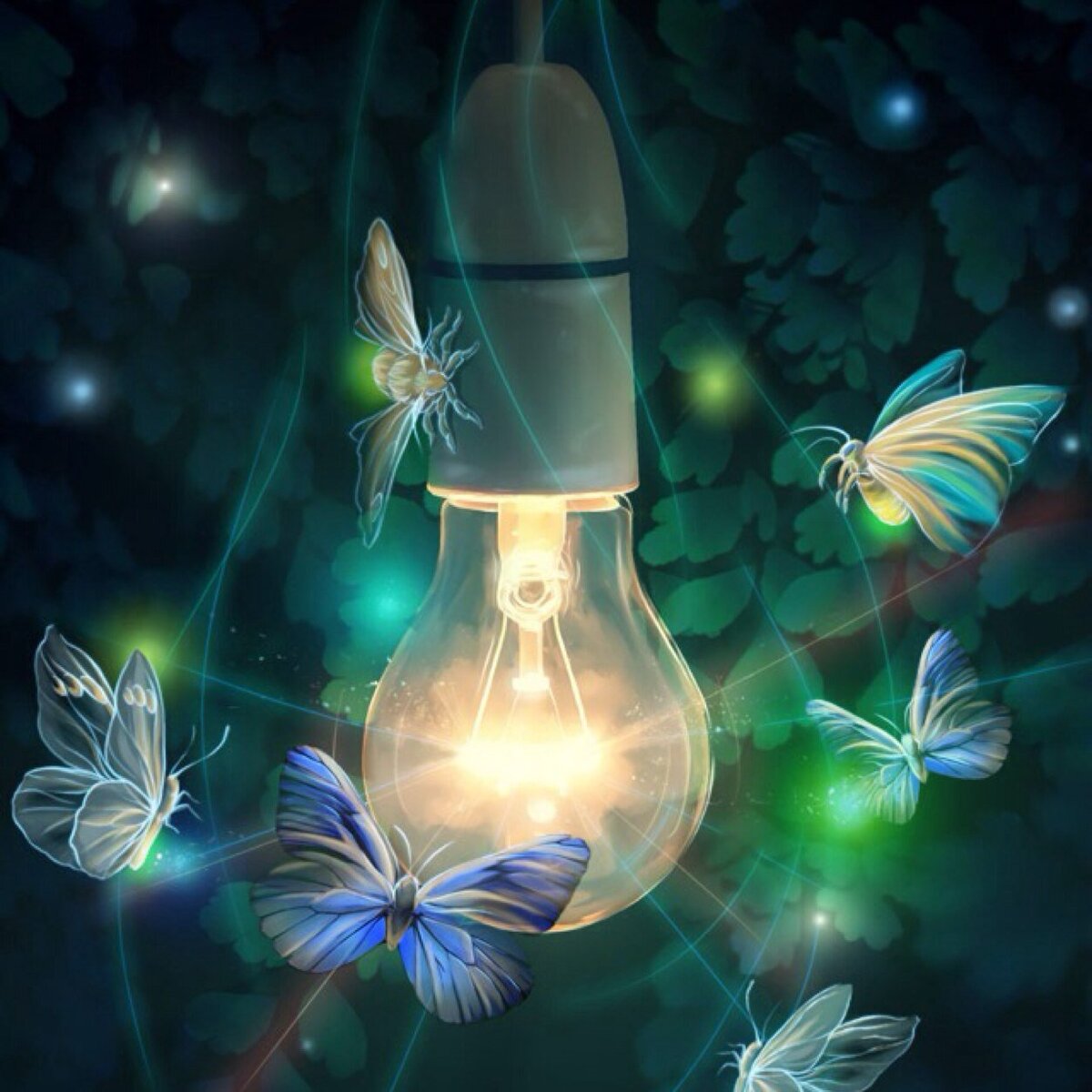 Фото из открытых источников.