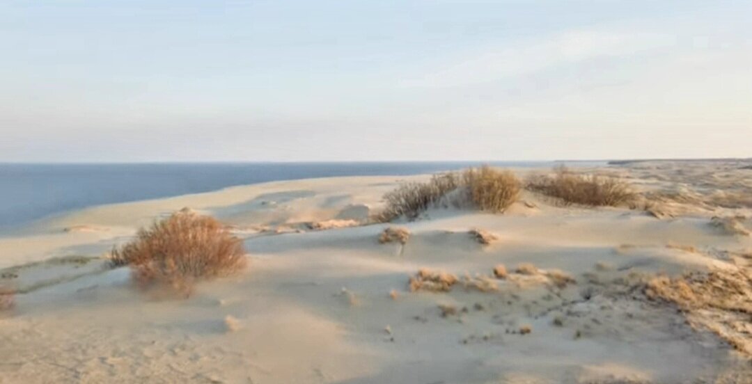 Куршская коса, Калининград, Россия, отпуск,  путешествие 