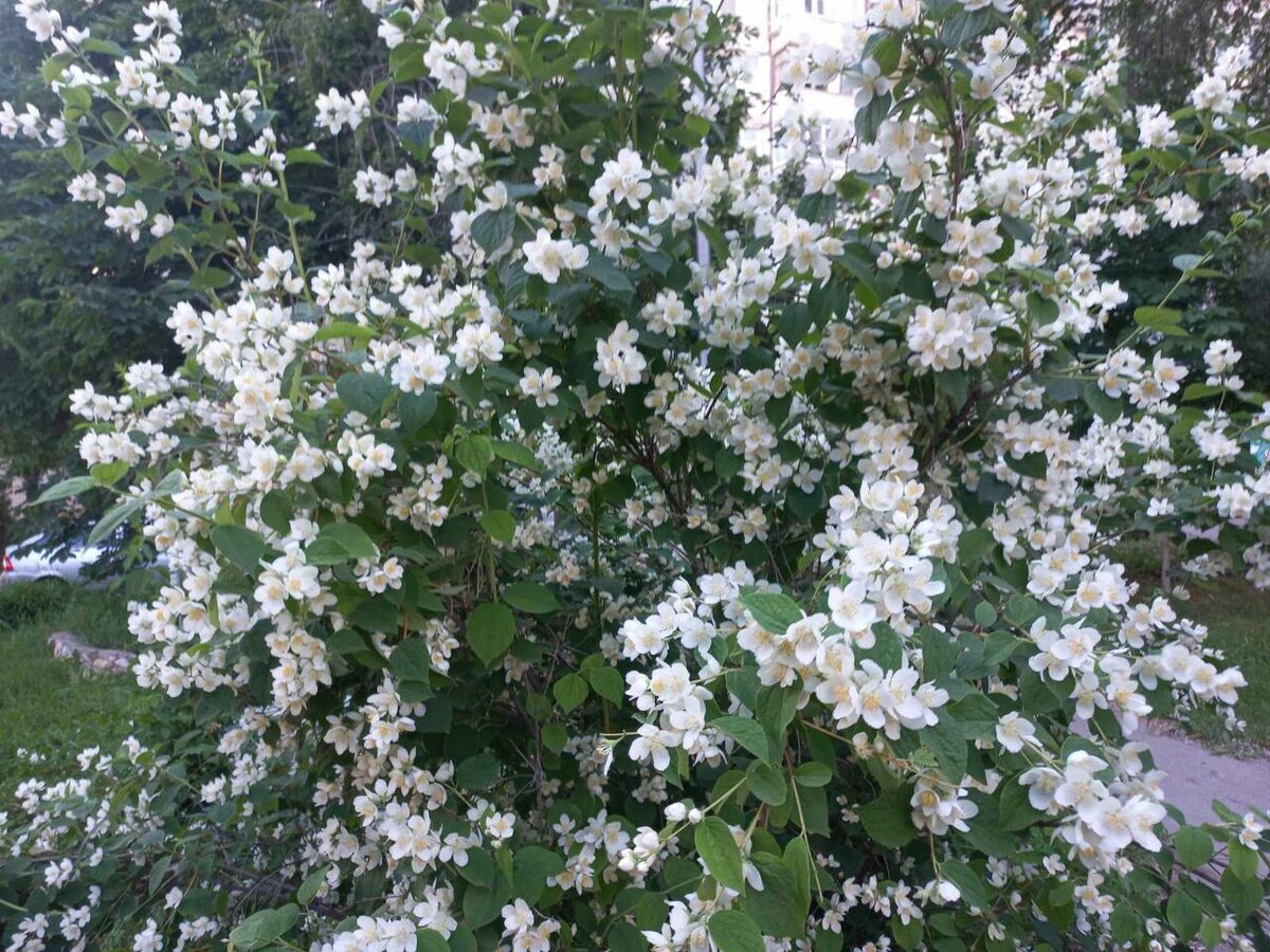 Фото автора.