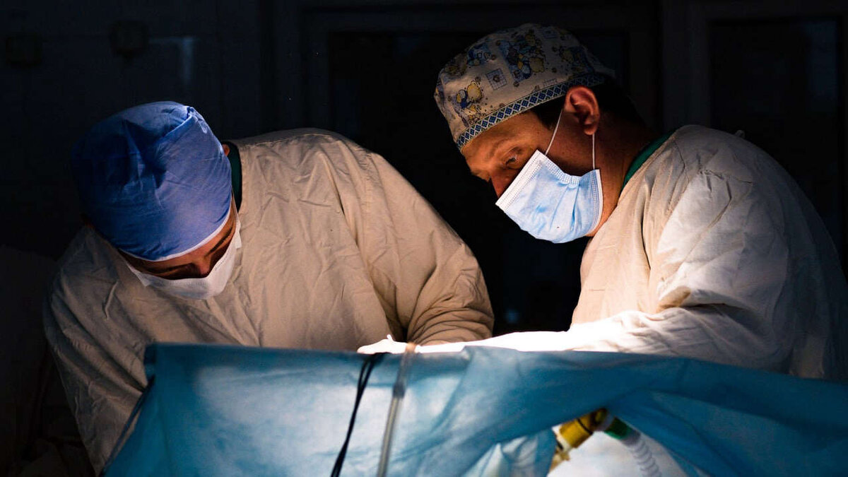 Фото: pixabay.com