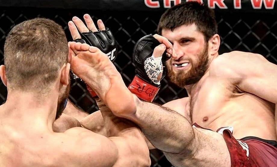    Магомед Анкалаев находится в шаге от титульного боя. Фото: Соцсети Магомеда Анкалаева