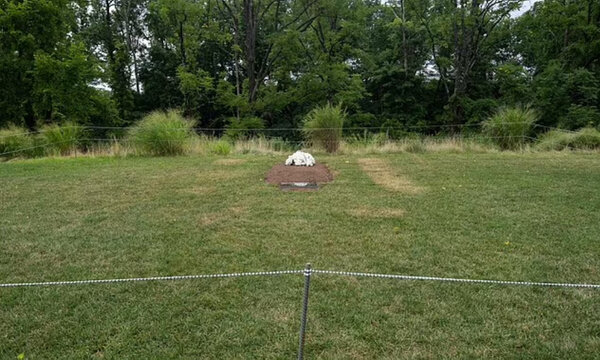 Место захоронения первой жены Дональда Трампа. Обложка © Dailymail.com