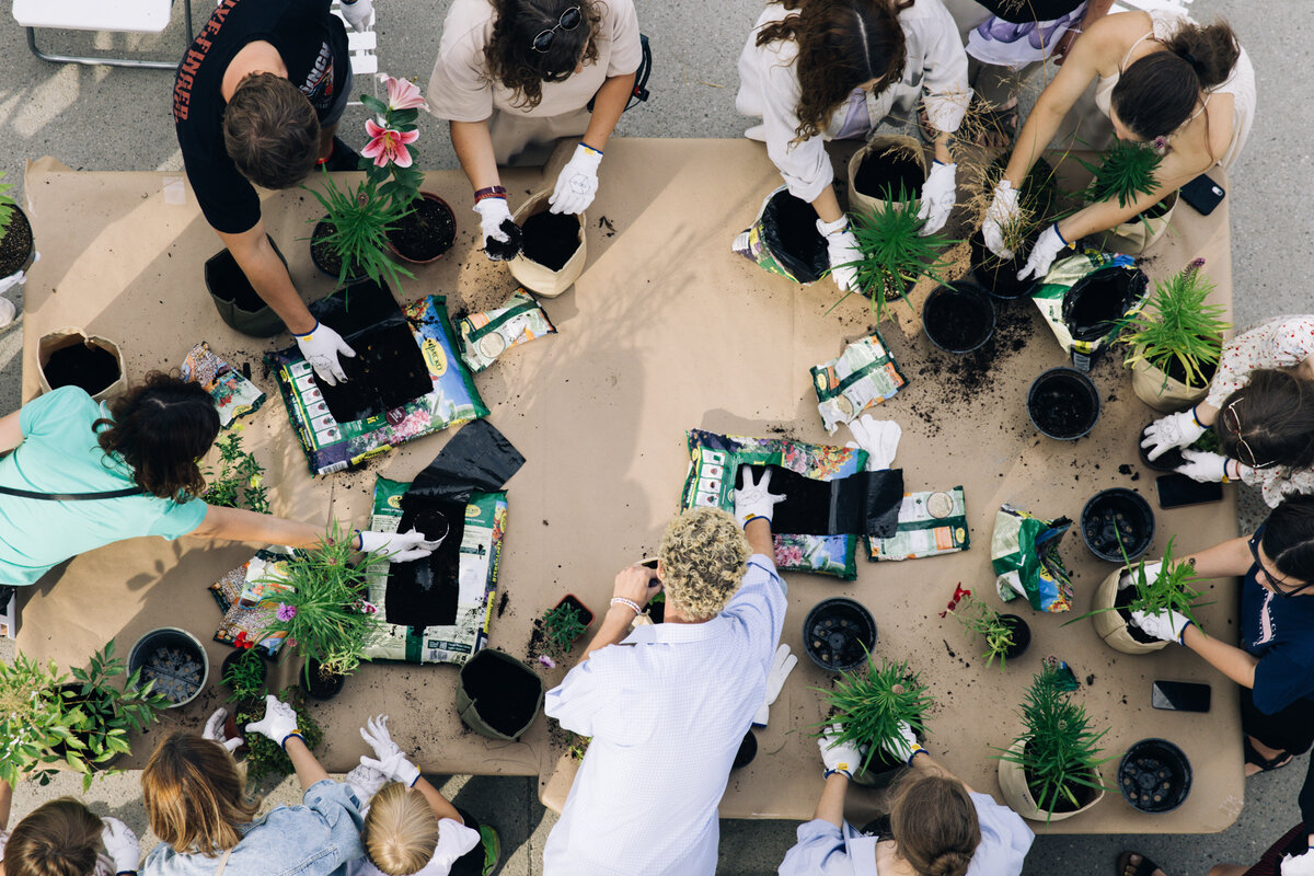     Фестиваль «Растения внутри и снаружи» на территории Дома культуры «ГЭС-2»