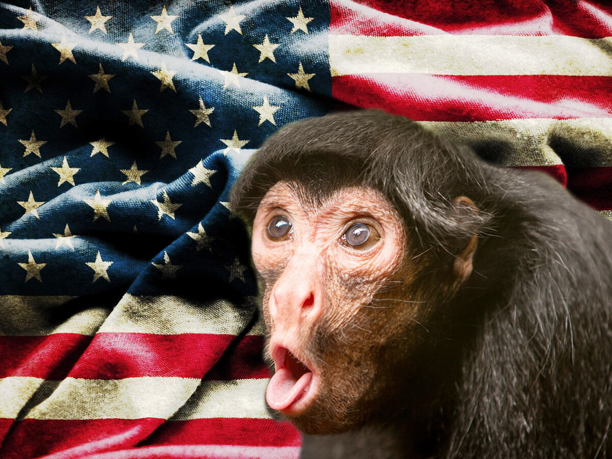 «The New York Times посвятила большой материал новой напасти — вспышке оспы обезьян на Западе. Поводом стало недавнее объявление чрезвычайной ситуации федерального уровня в США из-за того, что уже более 6 000 американцев заразились новым заболеванием. Казалось бы, статья и статья, но это только если читать невнимательно»               М. Захарова