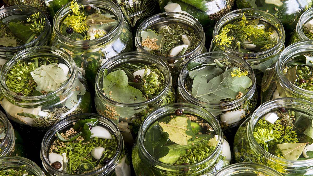    Фото: depositphotos