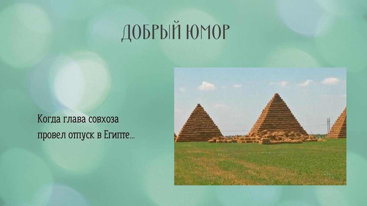 Про осень и рецепт счастья. Добрый юмор | Свято-Eлисаветинский монастырь |  Дзен