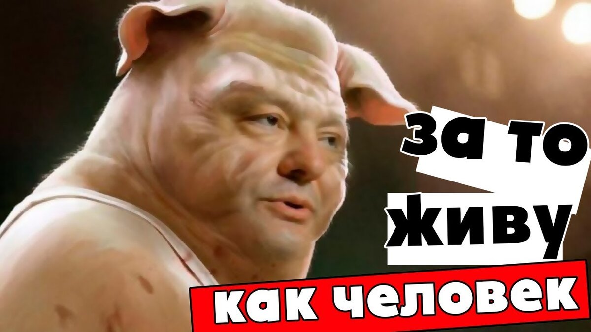 Взято из бесплатного доступа Яндекс. Картинки