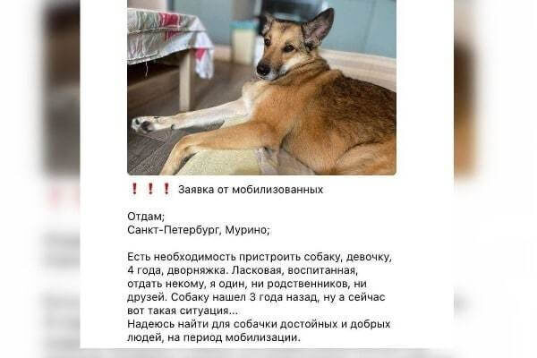 Источник: govoritmoskva.ru