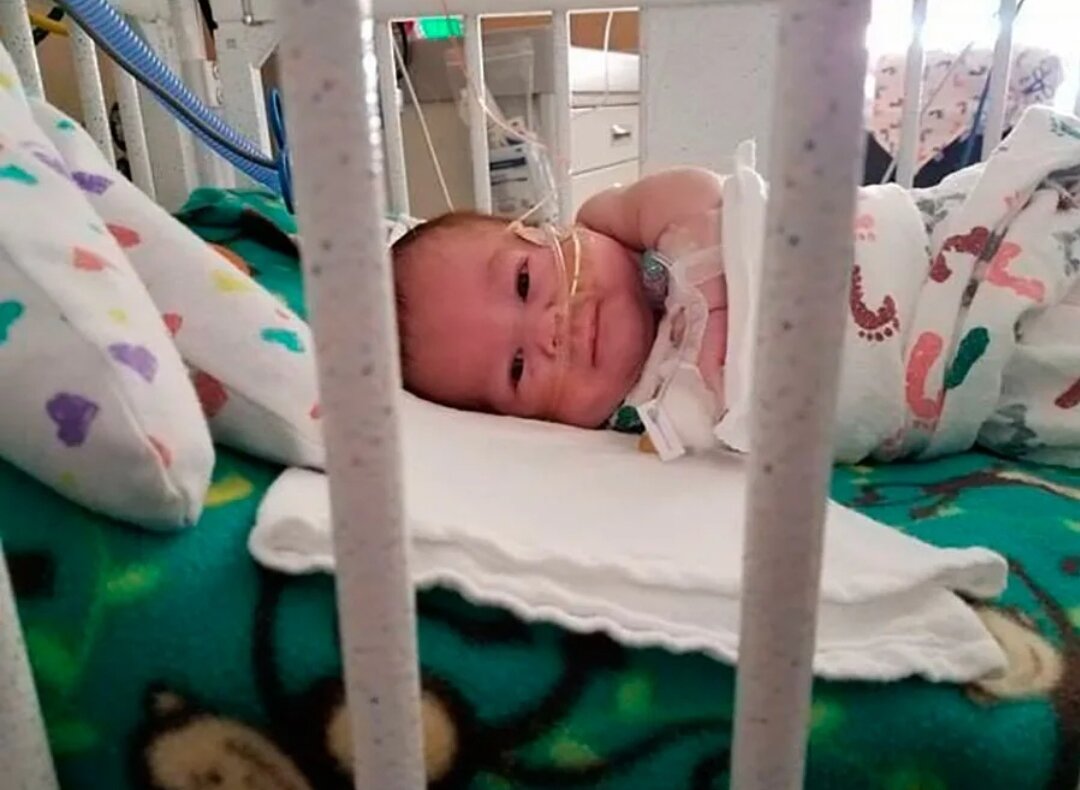 Источник Яндекс картинки 